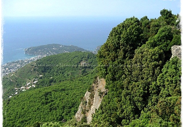 Vulcano Fiaiano Ischia